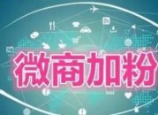做微商怎么找客源加人（做微商怎么找客源加人微信）