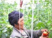 45岁女人学点啥就业（45岁女人找工作应该学点什么）