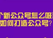 一个新公众号怎么吸粉（什么类型的公众号可以快速吸粉）